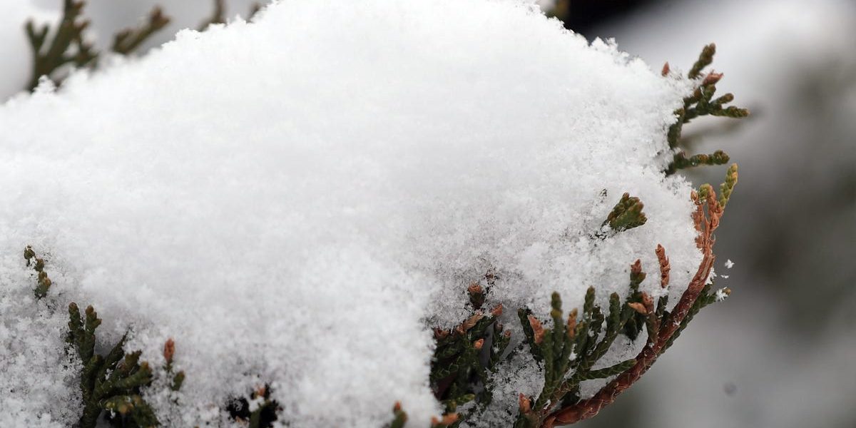 Snow flurries, up to 1"