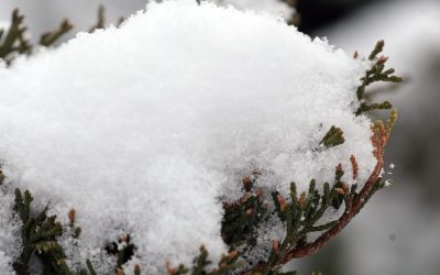 Snow flurries, up to 1"