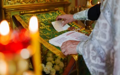 PTg3ODgyMGQ2NTg4MmEyNWIzMzI5YjYyZmMyNzg1OTAy.thumb_.jpg - NewsFactor