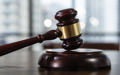 Screenshot-2025-02-04-at-13.44.00.png - NewsFactor