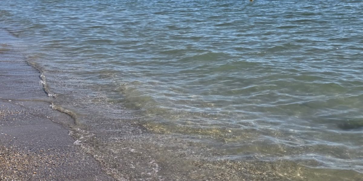 WhatsApp-Image-2025-07-03-at-08.31.53-2.jpeg - NewsFactor