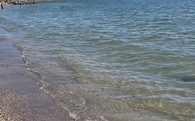 WhatsApp-Image-2025-07-03-at-08.31.53-2.jpeg - NewsFactor