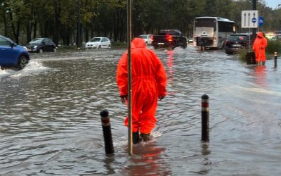 WhatsApp-Image-2025-10-08-at-07.31.21-e1759898934343.jpeg - NewsFactor