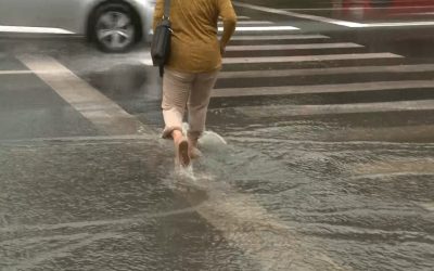 YThhMWE3NzA3NjIwYmYyM2NiYTdlYjljMWJkZQ.thumb_.jpg - NewsFactor