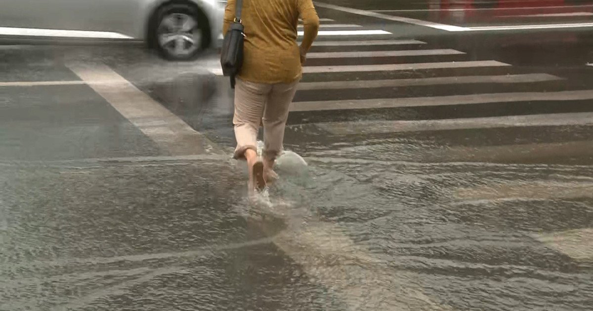 Primăvara bate la ușă: gerul cedează ploilor, viscol pe creste!