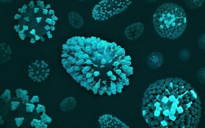 admin-ajax-5-1.jpeg - NewsFactor