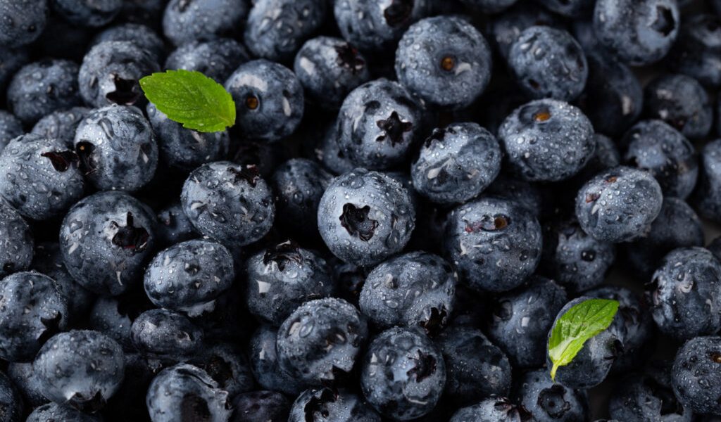 afine-1024x683-1.jpg - NewsFactor