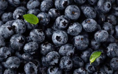 afine-1024x683-1.jpg - NewsFactor