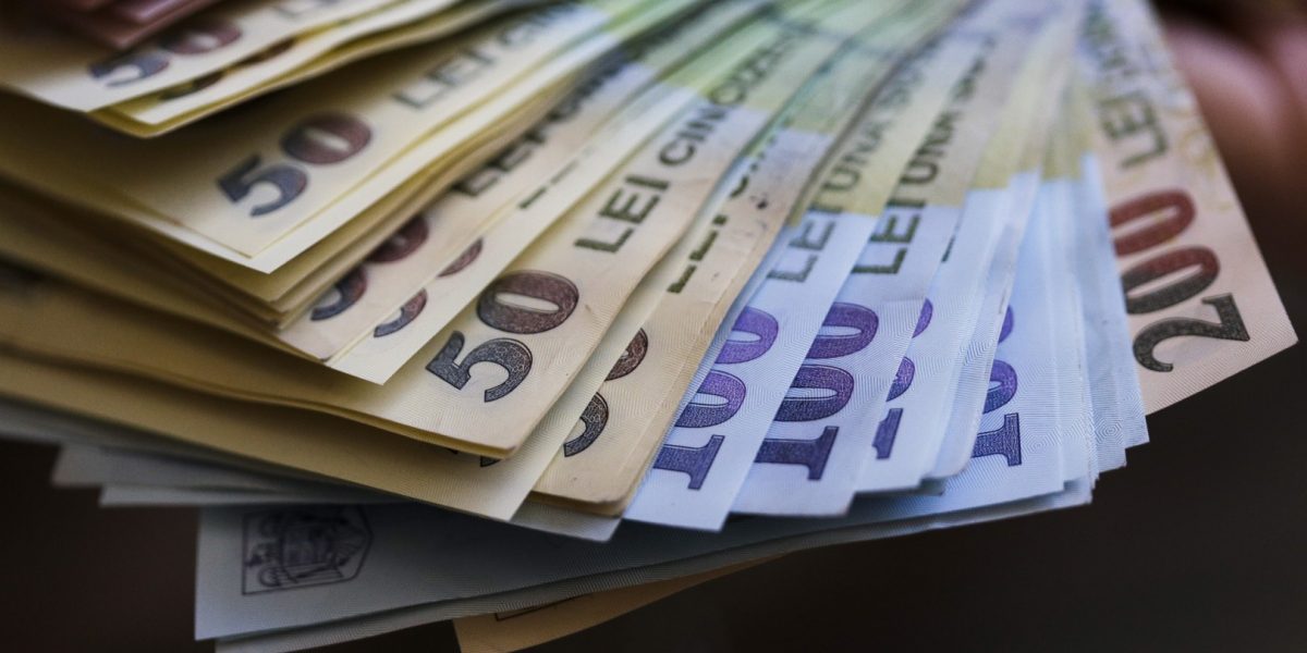 bani-lei-bancnote-cash-numerar-Sursa-foto-Inquam-Photos-Octav-Ganea-4.jpg - NewsFactor