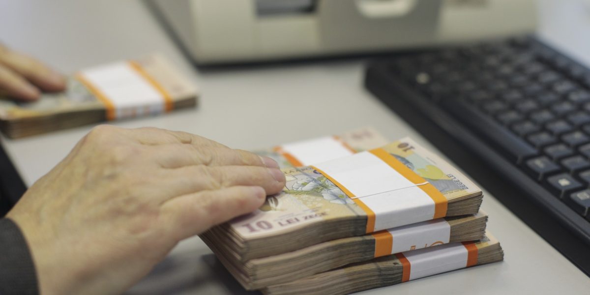 bani-lei-bancnote-cash-numerar-Sursa-foto-Inquam-Photos-Octav-Ganea-8.jpg - NewsFactor