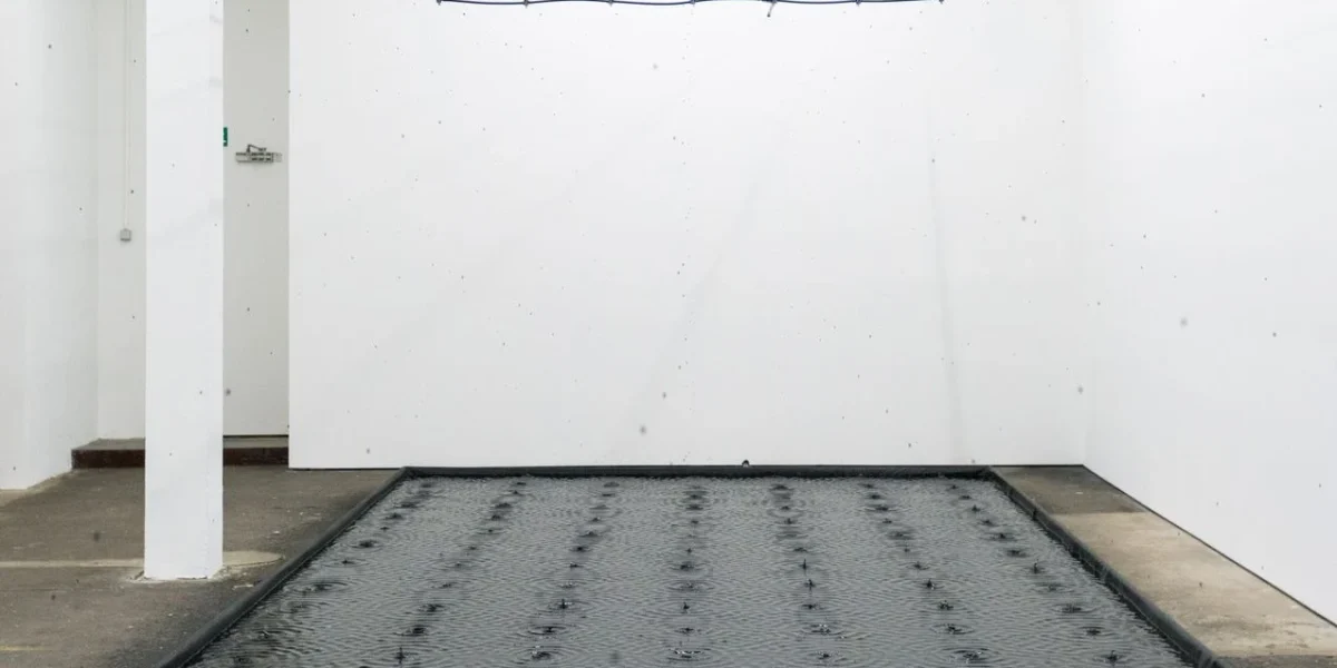 belu-simion-fainaru-contemporary-artist.webp.webp - NewsFactor