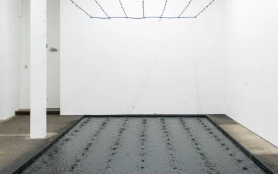 belu-simion-fainaru-contemporary-artist.webp.webp - NewsFactor