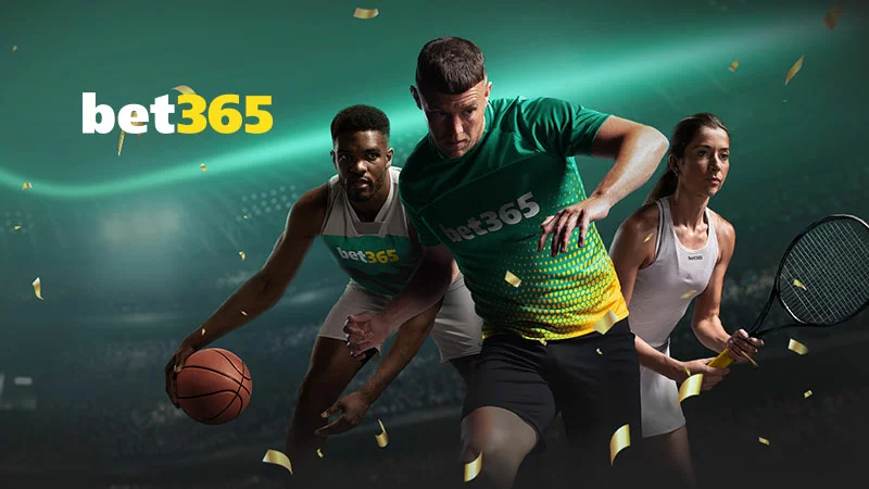 bet365-sport-800x450-V1.jpg.webp.webp - NewsFactor