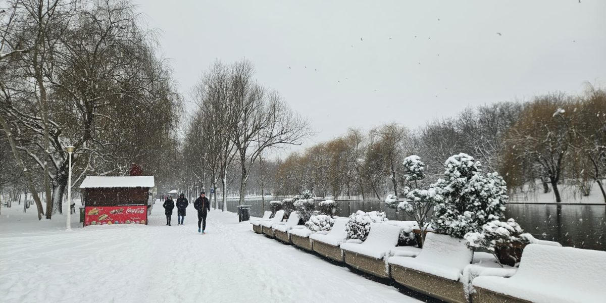 bucuresti-zapada-parc.jpeg - NewsFactor