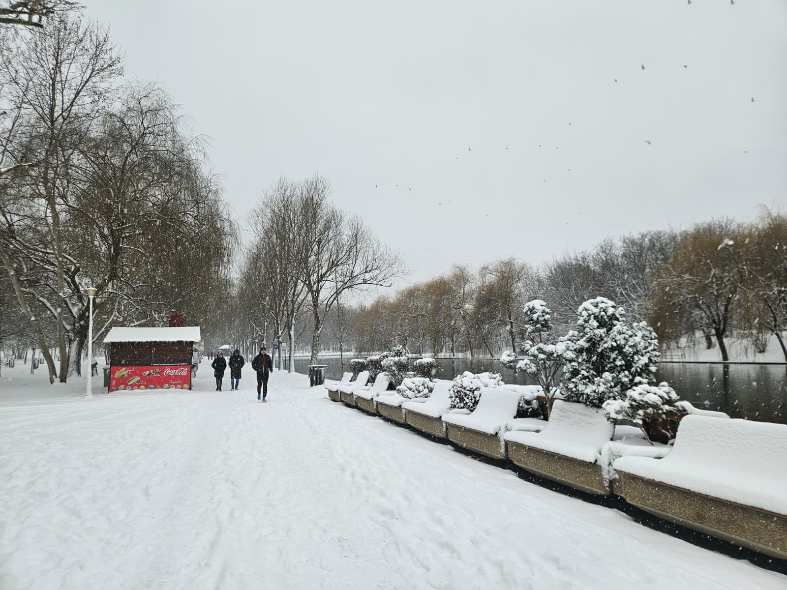 Bucureștiul acoperit de zăpadă: 10 cm de alb pe străzi și parcuri Bucureștiul se confruntă cu ninsori abundente, care au început duminică, 11 ianuarie, și au dus la formarea unui strat consistent de zăpadă, ce poate atinge până la 15 cm