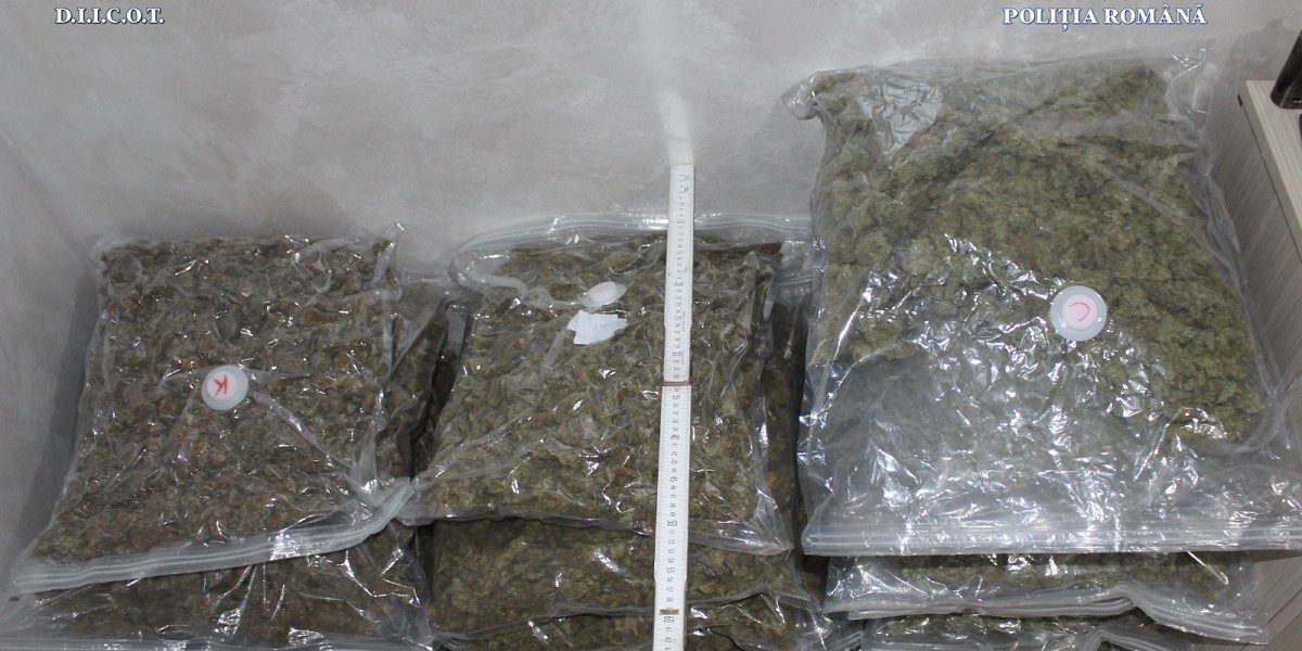 canabis.jpeg - NewsFactor