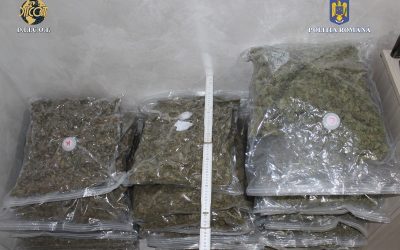 canabis.jpeg - NewsFactor