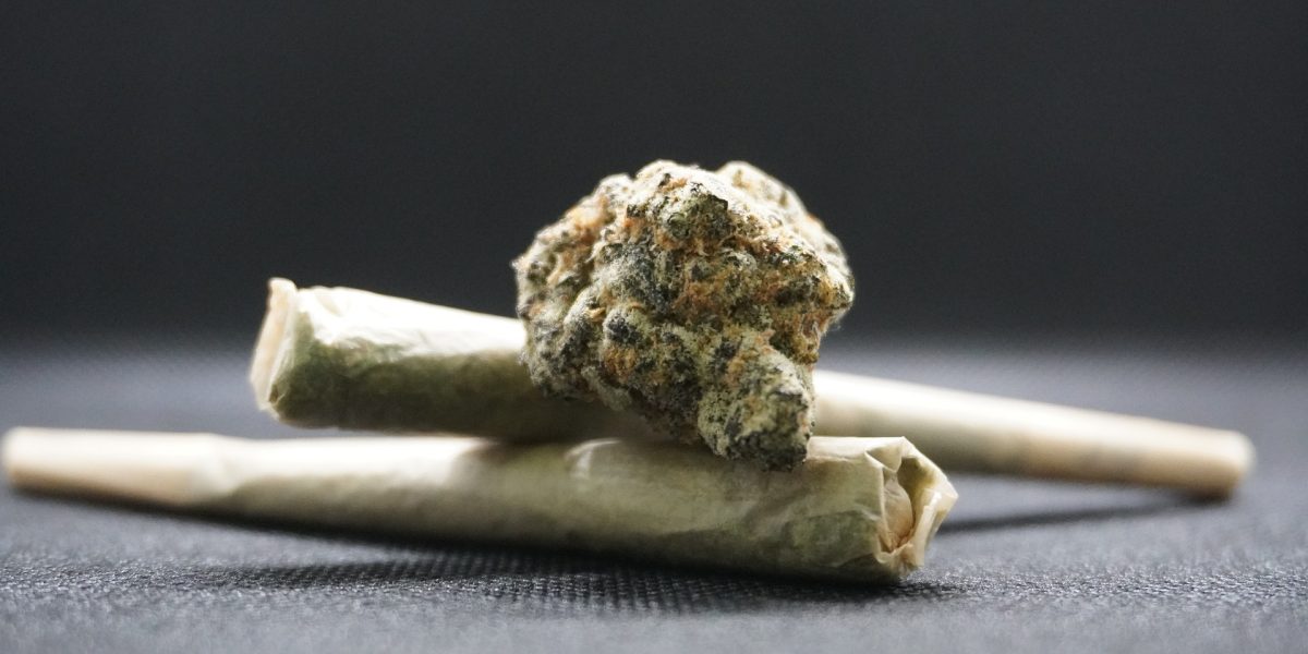 canabis-marijuana-bumps-8054140_1920.jpg - NewsFactor