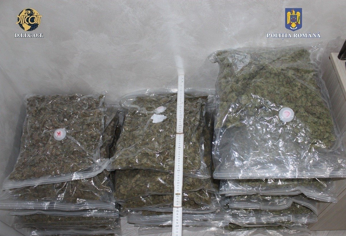 Poliția vrânceană a descoperit o cantitate semnificativă de canabis, în jur de 15 kilograme, într-un punct de lucru al unei firme de curierat internațional, în cadrul unei anchete care vizează traficul internațional de droguri