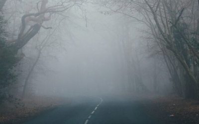 ceata-cod-galben-e1709438463346.jpg - NewsFactor