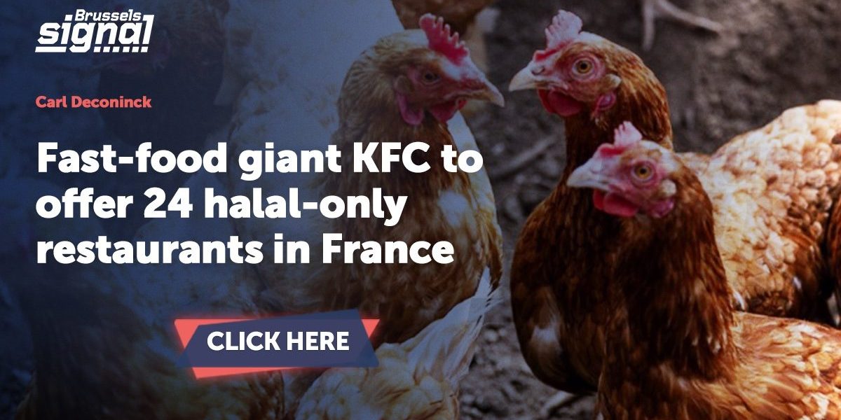 cropped-WhatsApp-Image-2026-01-14-at-12.13.39-4.jpeg - NewsFactor