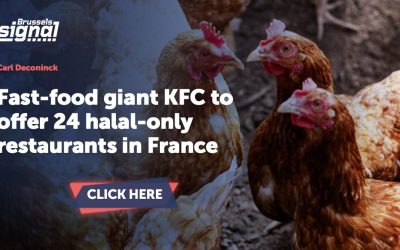 cropped-WhatsApp-Image-2026-01-14-at-12.13.39-4.jpeg - NewsFactor