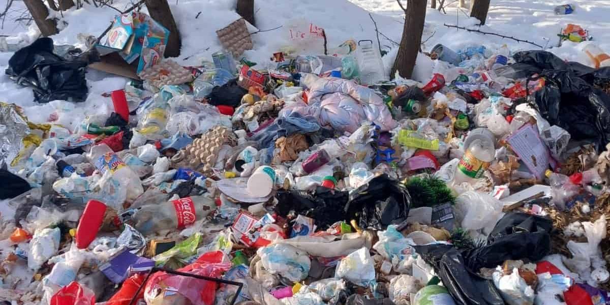 deseuri-spring-6.jpg - NewsFactor