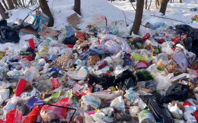 deseuri-spring-6.jpg - NewsFactor