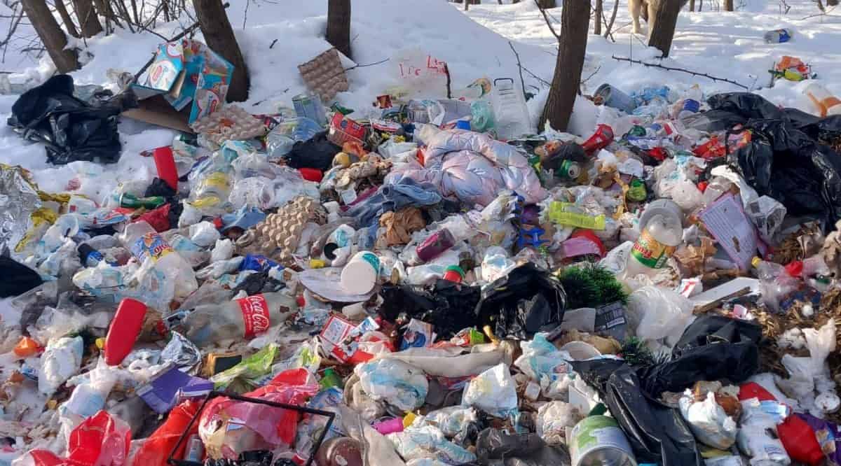 Buletin uitat în gunoiul aruncat ilegal