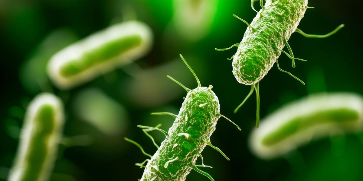 dreamstime_m_342154636.jpg - NewsFactor