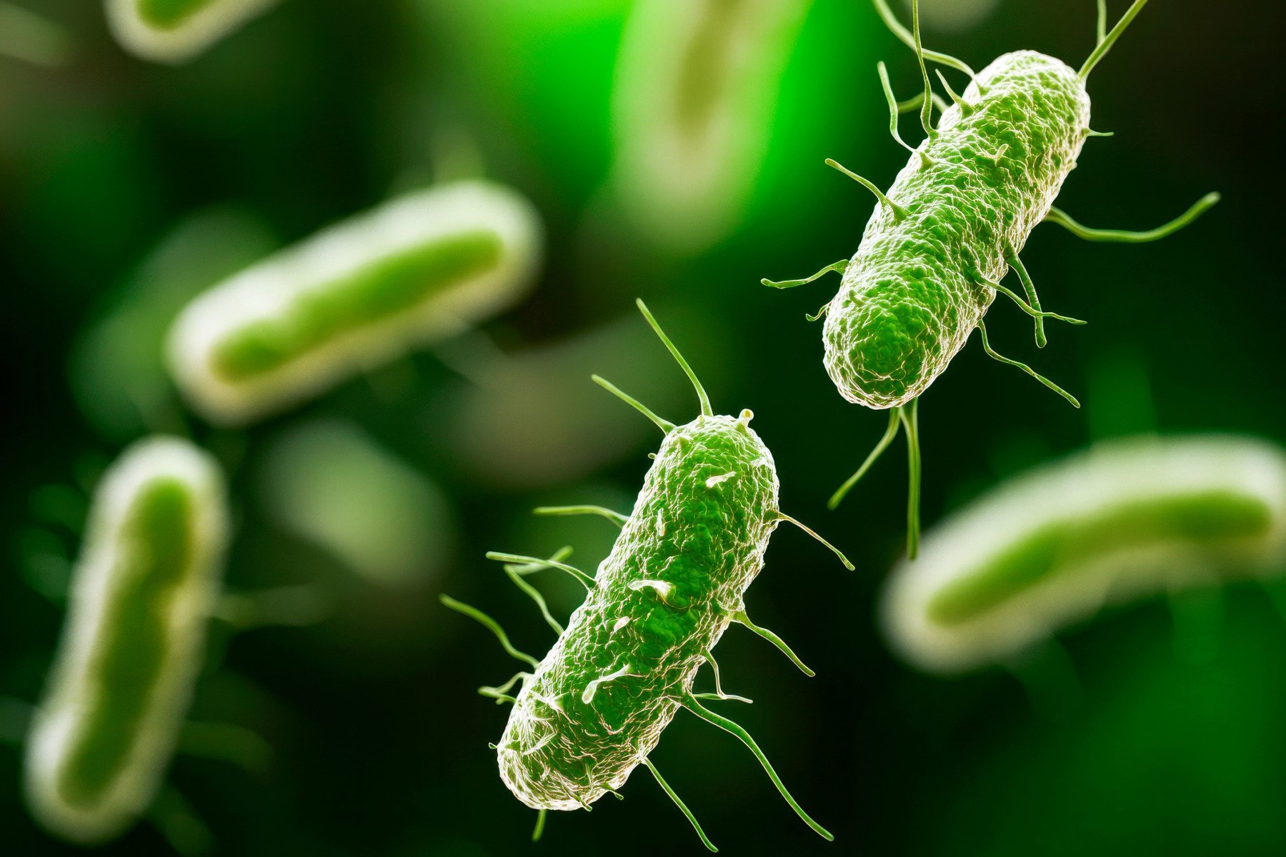 Apa de la Curtea de Argeş, contaminată cu bacterii