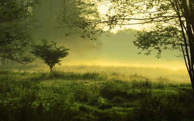 dreamstime_m_4953634.jpg - NewsFactor