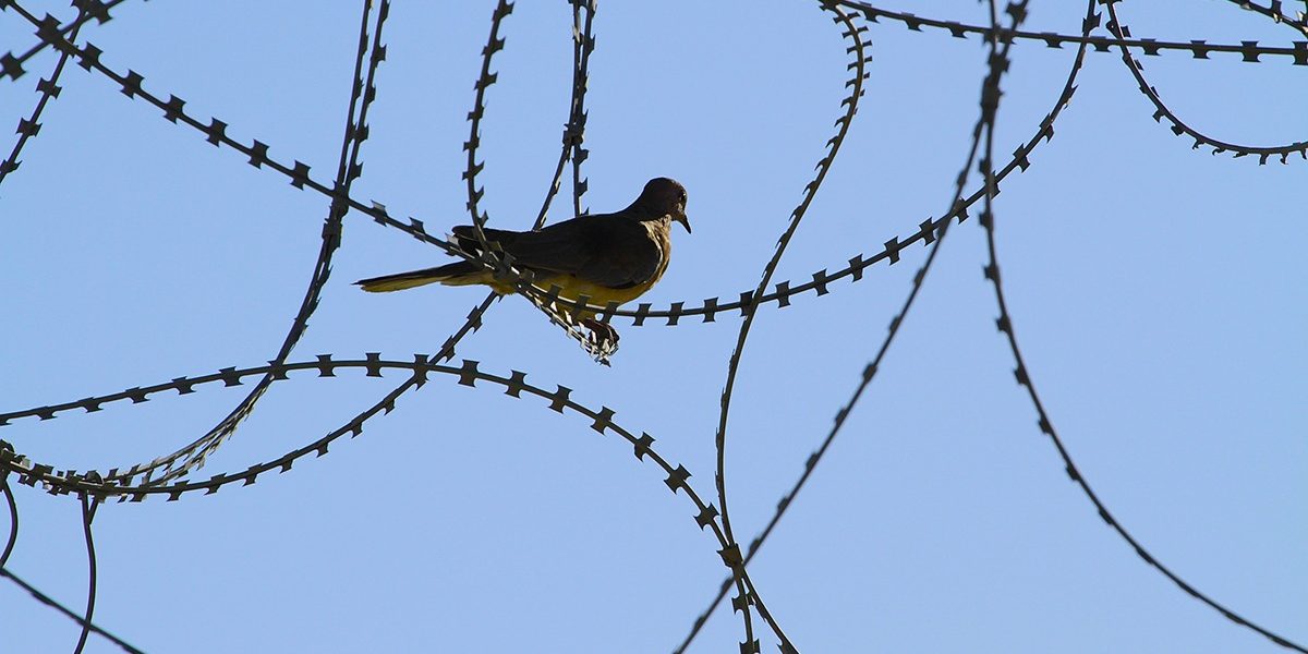 dreamstime_m_64982902.jpg - NewsFactor