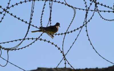 dreamstime_m_64982902.jpg - NewsFactor