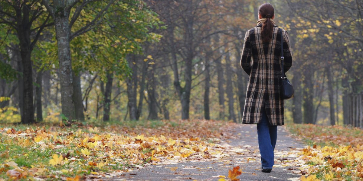 dreamstime_m_6853281.jpg - NewsFactor