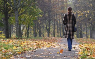 dreamstime_m_6853281.jpg - NewsFactor