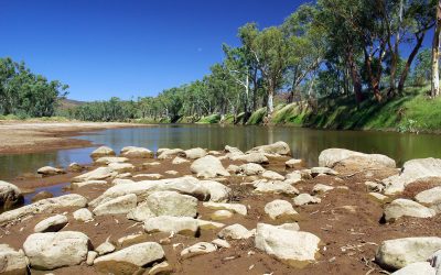 dreamstime_s_10089242.jpg - NewsFactor