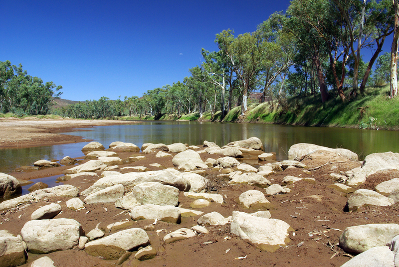 dreamstime_s_10089242.jpg - NewsFactor