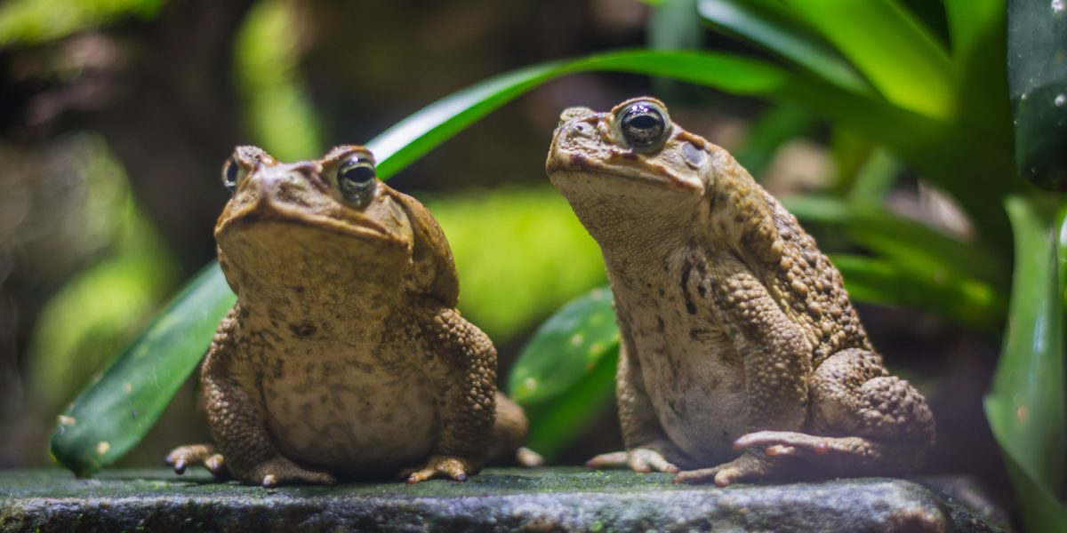 dreamstime_xl_123690325.jpg - NewsFactor