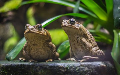 dreamstime_xl_123690325.jpg - NewsFactor