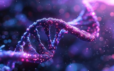 dreamstime_xl_328626479.jpg - NewsFactor