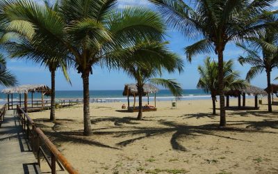 ecuador-g20798e53f_1280.jpg - NewsFactor