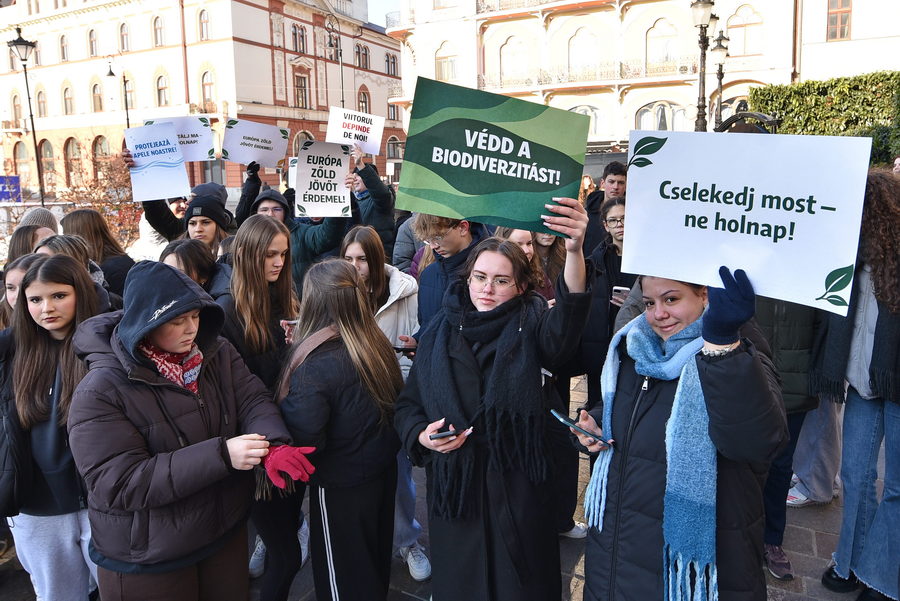 flash-mob-ecologist-20012026_05.jpeg - NewsFactor