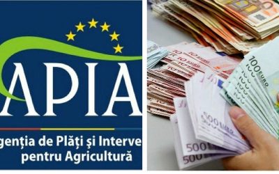 foto-bun-apia_o-1.jpg - NewsFactor