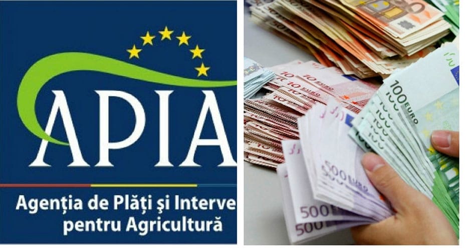 foto-bun-apia_o-1.jpg - NewsFactor