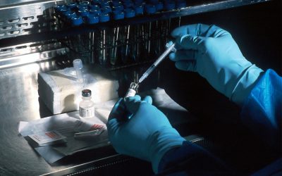 genetica.jpg - NewsFactor