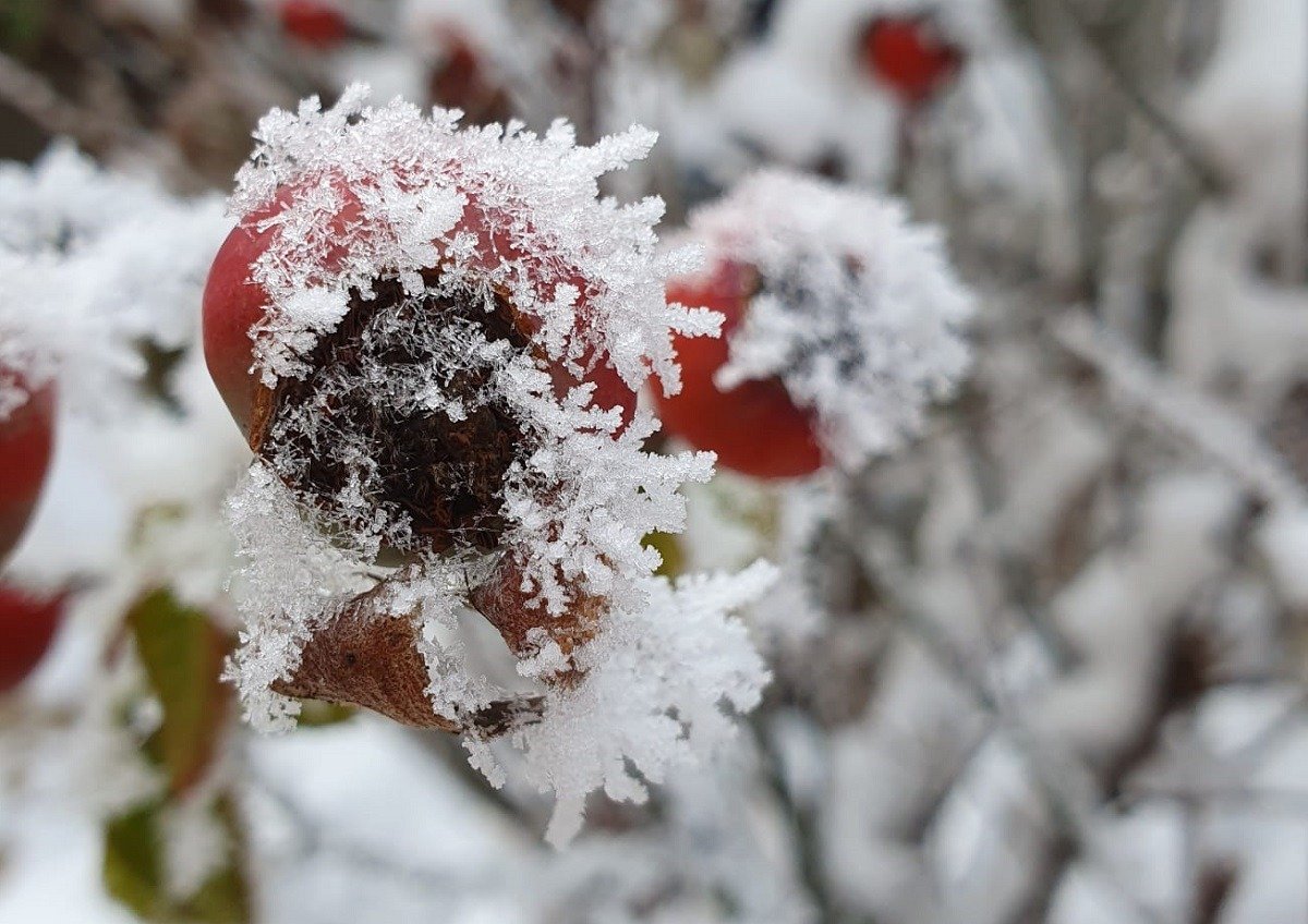 Prognoza meteo ianuarie 2026