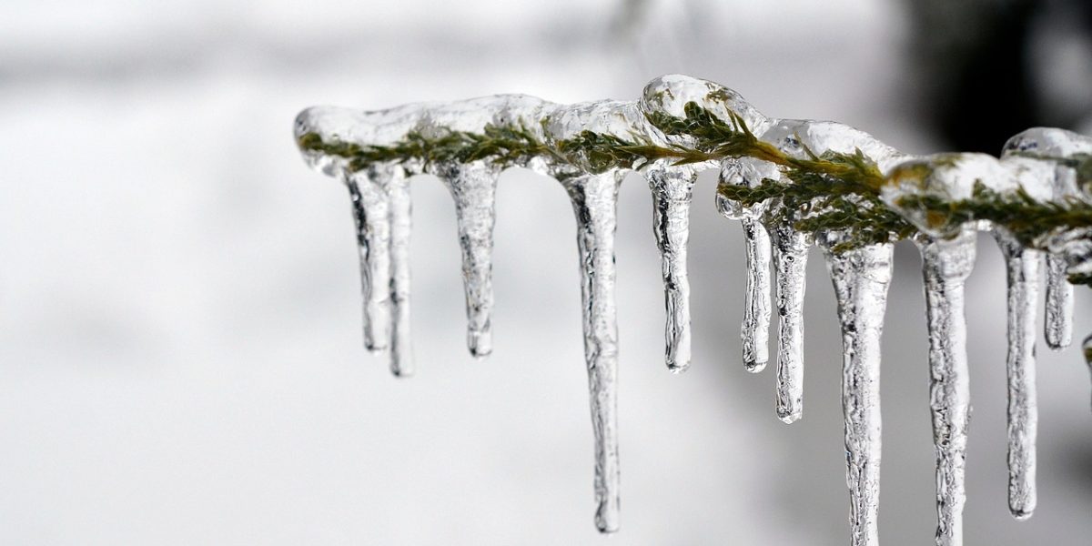 ice-1343342_1280.jpg - NewsFactor