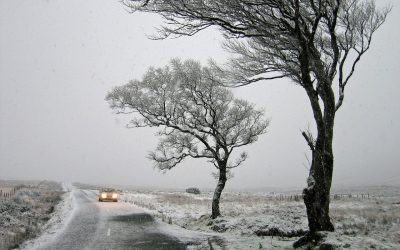 ireland-ge90926f96_1280.jpg - NewsFactor