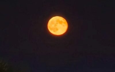 luna-4-e1767379918868.jpg - NewsFactor